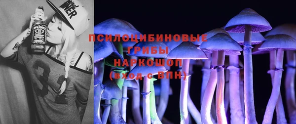 бутират Богородицк