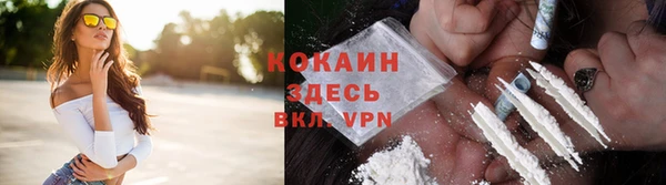 шишки Богородск