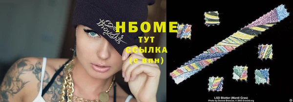 шишки Богородск