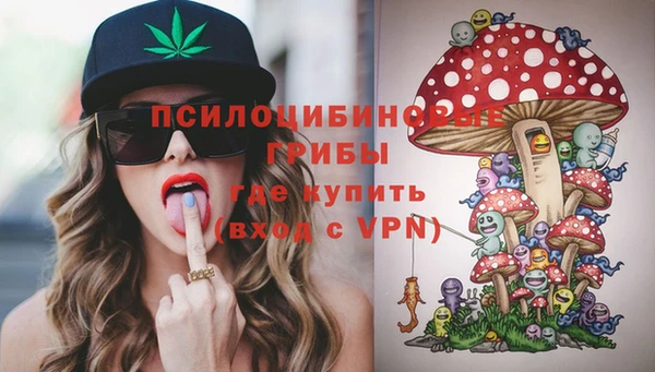 бутират Богородицк