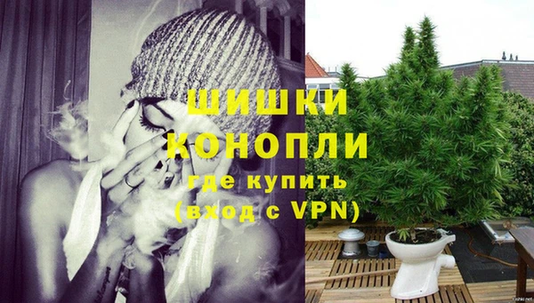 сатива Зеленокумск