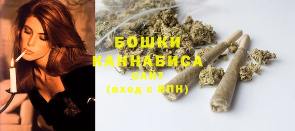 бошки Богданович