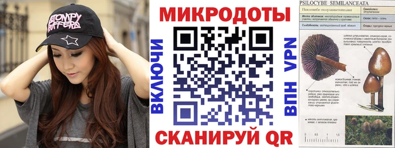Галлюциногенные грибы Magic Shrooms  Торжок 
